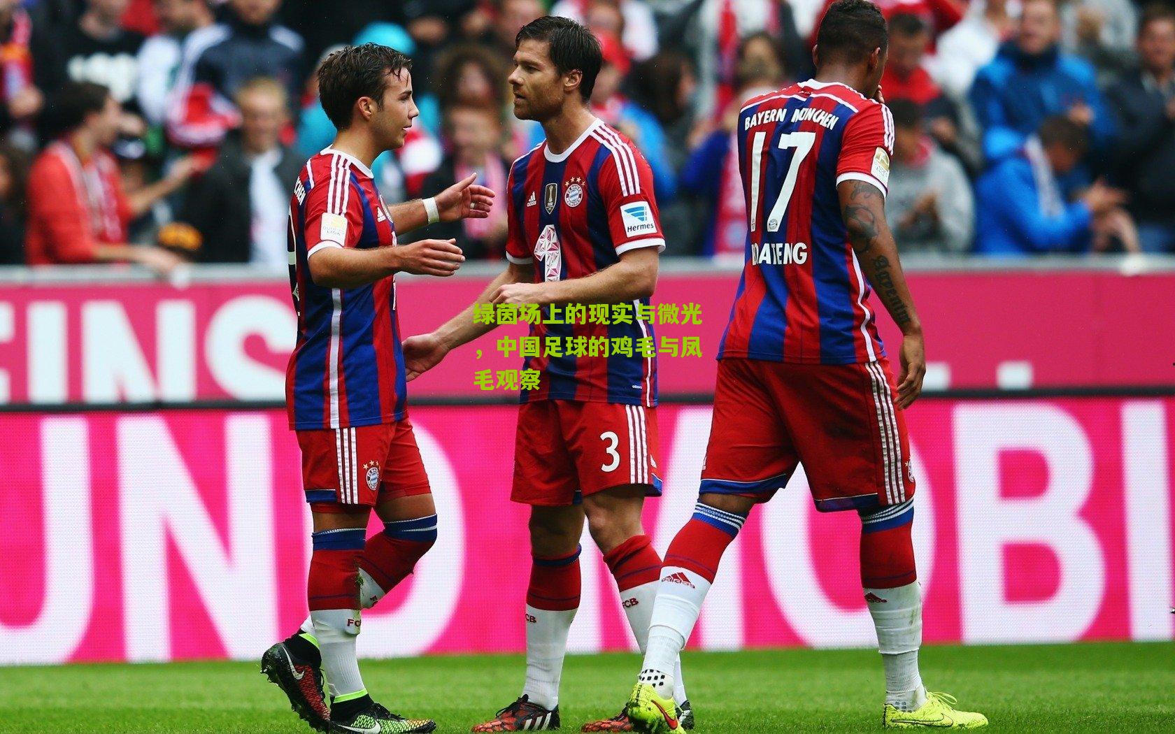 绿茵场上的现实与微光,中国足球的鸡毛与凤毛观察